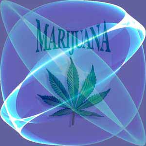 weed6.jpg